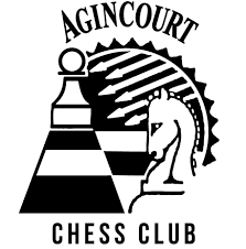 Logo for chess