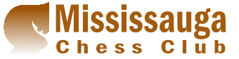 Logo for chess